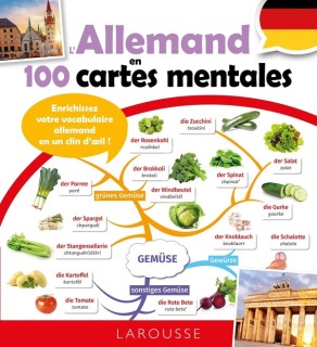L'allemand en 100 cartes mentales